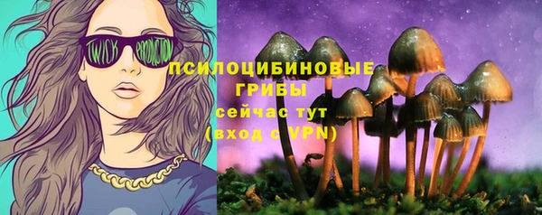 сатива Майский