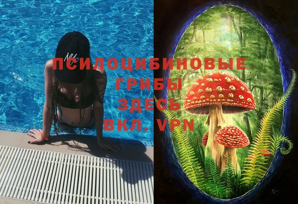 дурь Медногорск