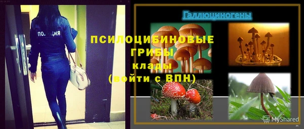 дурь Медногорск