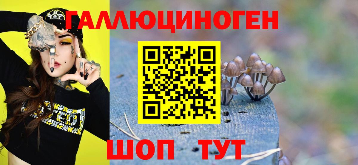 как найти закладки  Вход с VPN  Псилоцибиновые грибы GOLDEN TEACHER  Муравленко  Галлюциногенные грибы MAGIC MUSHROOMS 